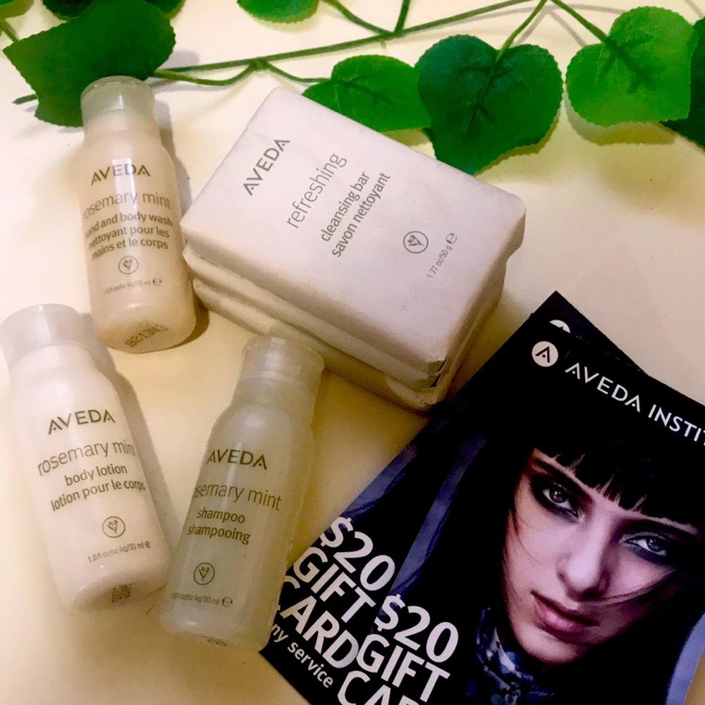 Aveda Travel Size Shower Set